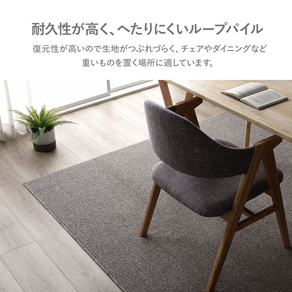 フリーカット 平織カーペット 抗菌防臭 防炎 グレー - Image 7