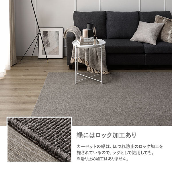 フリーカット 平織カーペット 抗菌防臭 防炎 ベージュ - Image 13