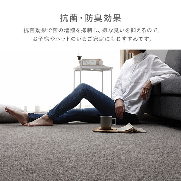 フリーカット 平織カーペット 抗菌防臭 防炎 ベージュ - Image 5