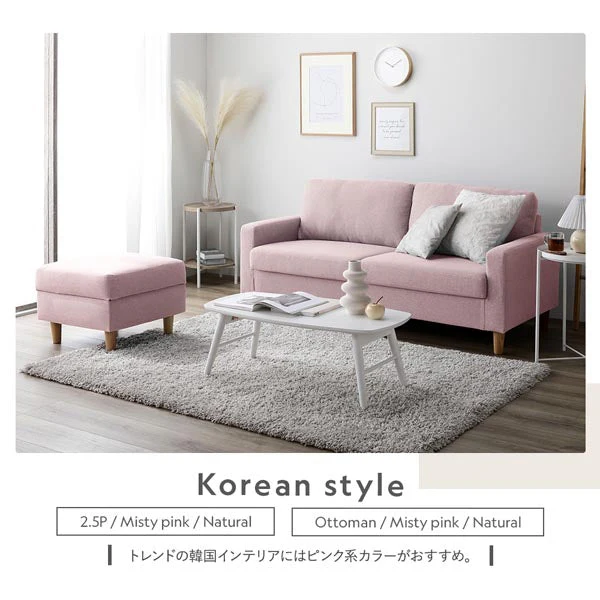 2人掛け 洗える着替えソファ『＆NAME アンドネーム』ダスティブルー - Image 24