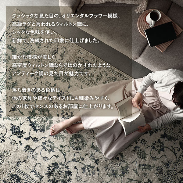 エジプト製 オリエンタル柄 ウィルトン織ラグ【約200×250cm】 アイボリー - Image 5